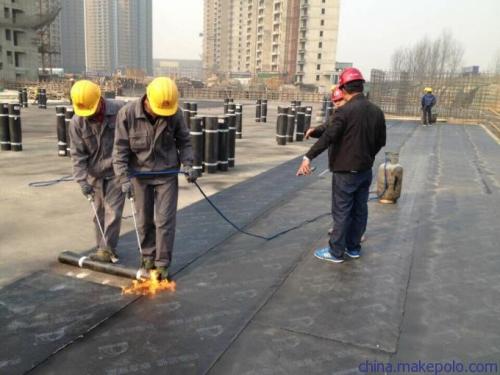 奋斗的的股份